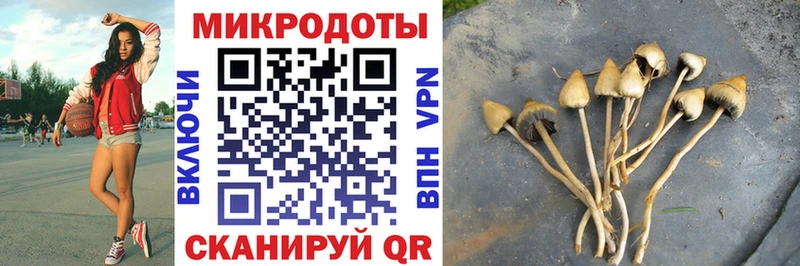 Галлюциногенные грибы прущие грибы  где продают наркотики  Заозёрск 